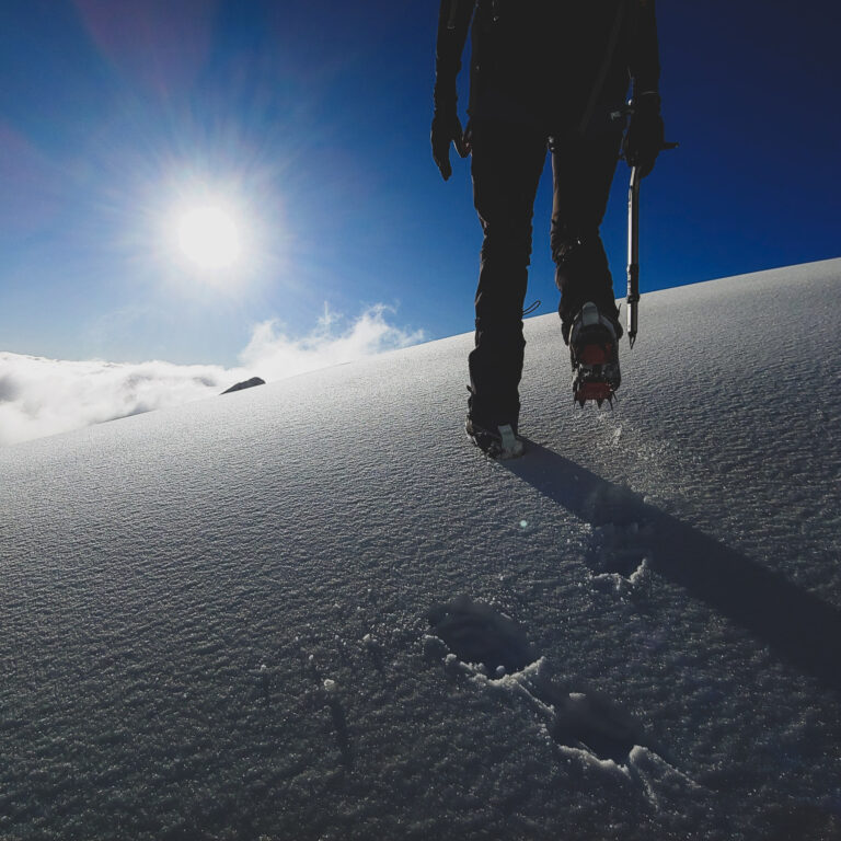 Guias Zona Centro 8 768x768