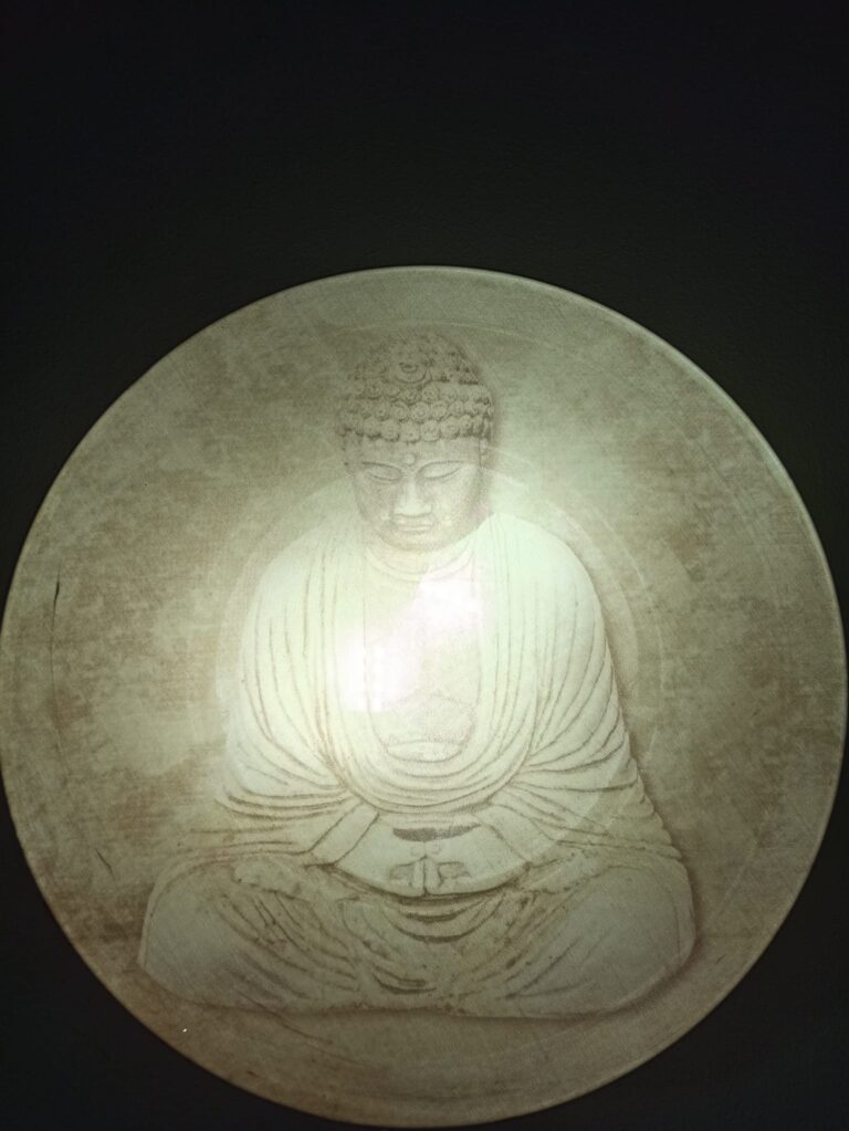 WhatsApp Image 2023 02 20 at 22.23.36 768x1023