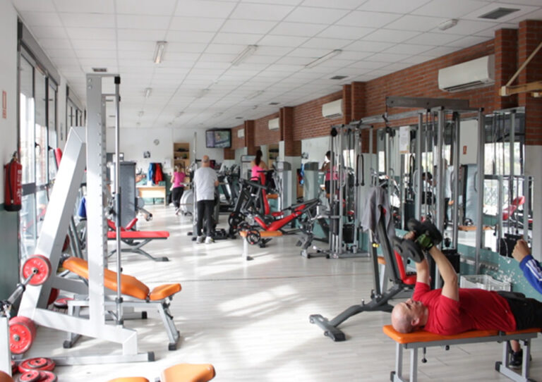 gimnasio 768x542