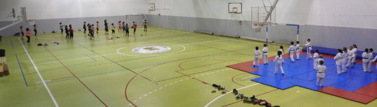 polideportivo 768x219