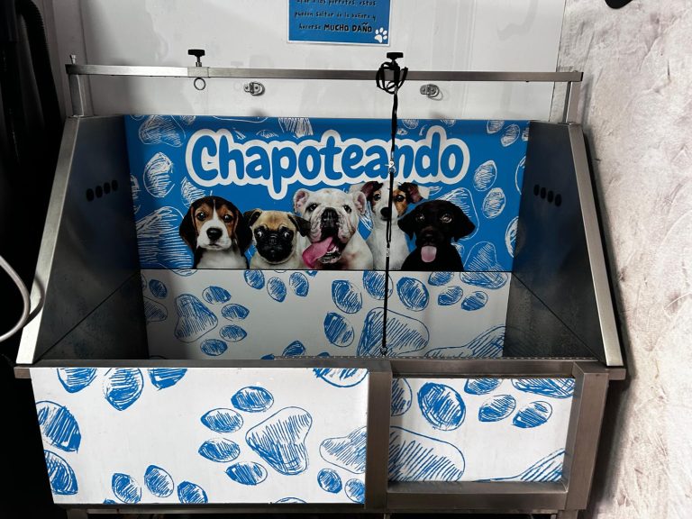 WhatsApp Image 2025 11 13 at 11.59.13 1 768x576